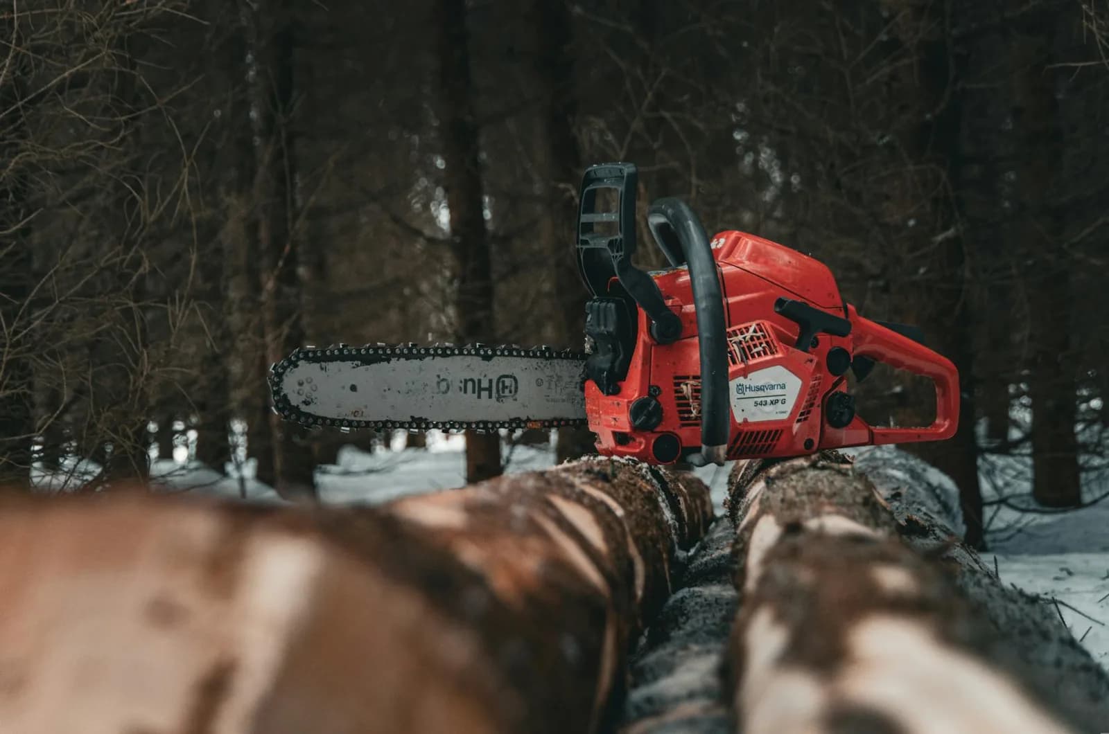 Comment couper un arbre à la tronçonneuse sans risque