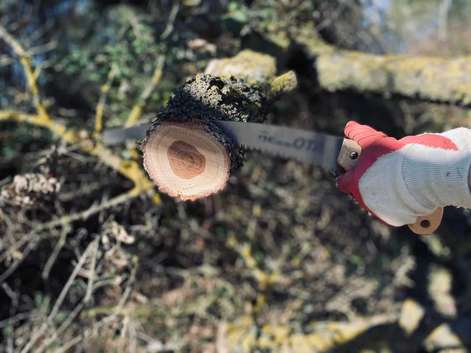 Personne taille une branche avec une mini tronçonneuse
